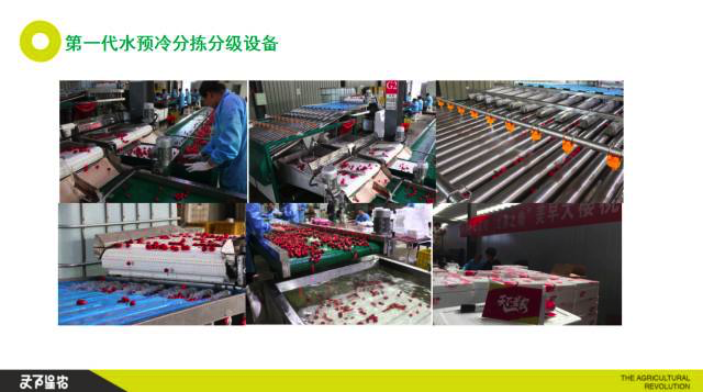 红唇之吻06.png