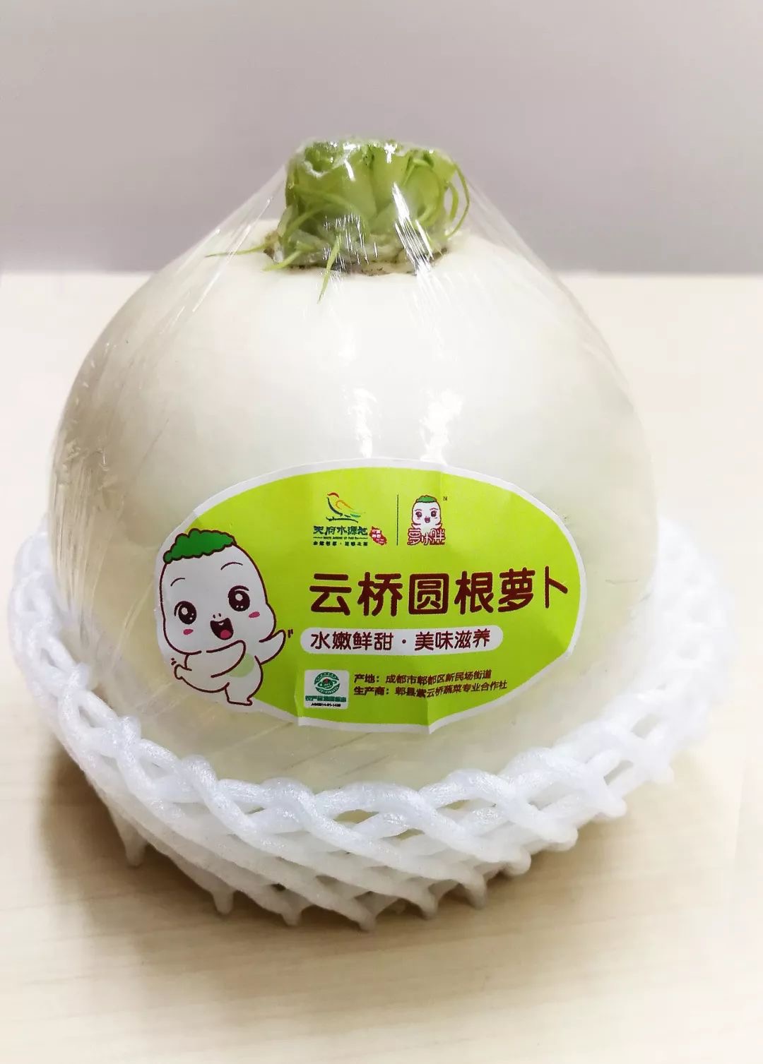萝小胖01.jpeg