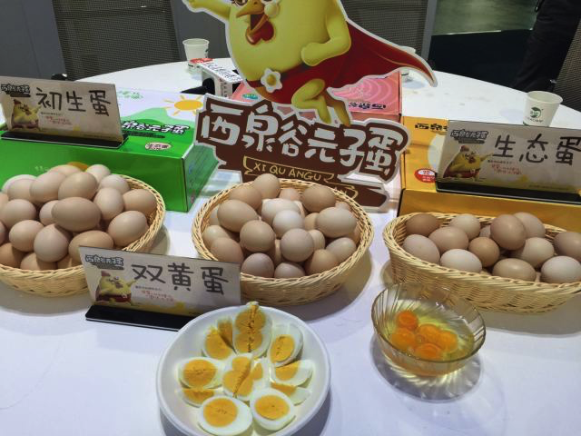 元子蛋04.png