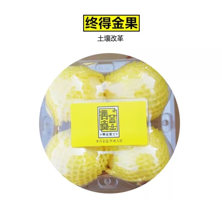 黄金富士07.jpeg