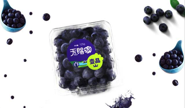 天赐09.png