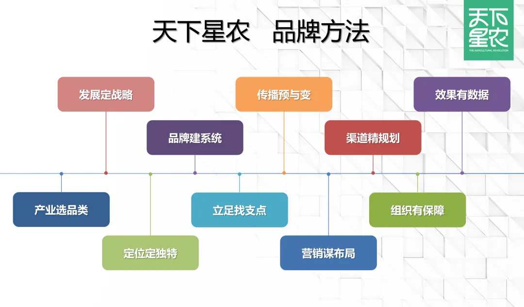 20251210176535897943.jpg 4.jpg